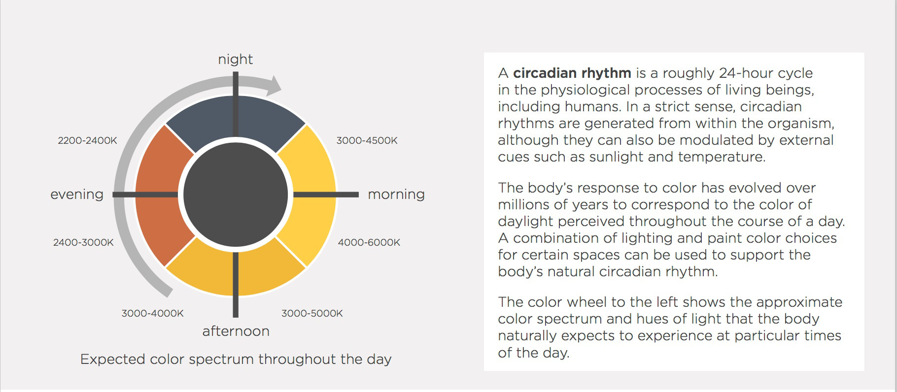A circadian rhythm is a roughly 24-hour cycle in the physiological processes of living beings, including humans. In a strict sense, circadian rhythms are generated from within the organism, although they can also be modulated by external cues such as sunlight and temperature.
The body’s response to color has evolved over millions of years to correspond to the color of daylight perceived throughout the course of a day. A combination of lighting and paint color choices for certain spaces can be used to support the body’s natural circadian rhythm.
The color wheel to the left shows the approximate color spectrum and hues of light that the body naturally expects to experience at particular times of the day.