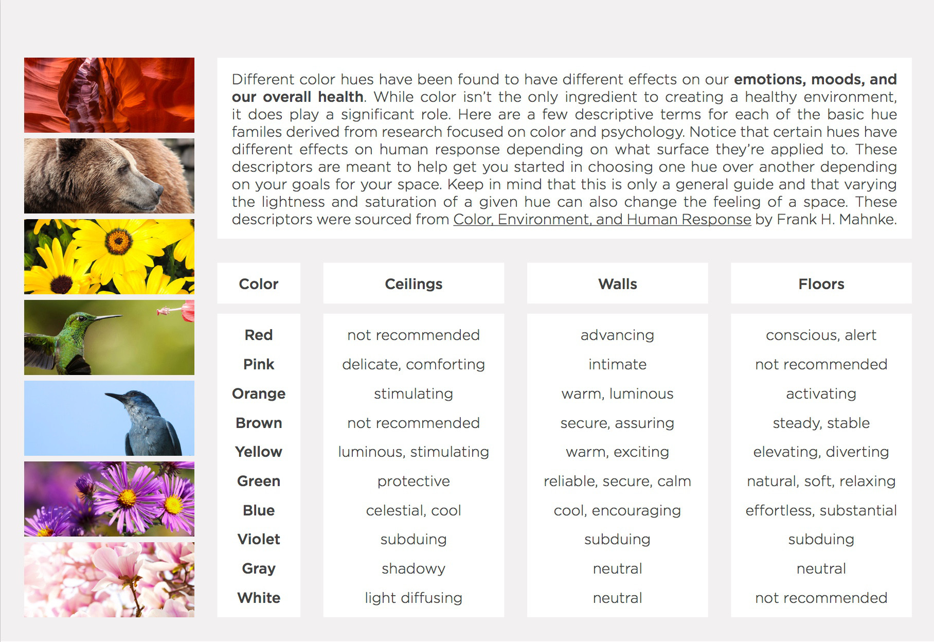 Different color hues have been found to have different effects on our emotions, moods, and our overall health. While color isn’t the only ingredient to creating a healthy environment, it does play a significant role. Here are a few descriptive terms for each of the basic hue families derived from research focused on color and psychology. Notice that certain hues have different effects on human response depending on what surface they’re applied to. These descriptors are meant to help get you started in choosing one hue over another depending on your goals for your space. Keep in mind that this in only a general guide and that varying the lightness and saturation of a given hue can also change the feeling of a space. These descriptors were sourced from Color, Environment, and Human Response by Frank H. Mahnke.