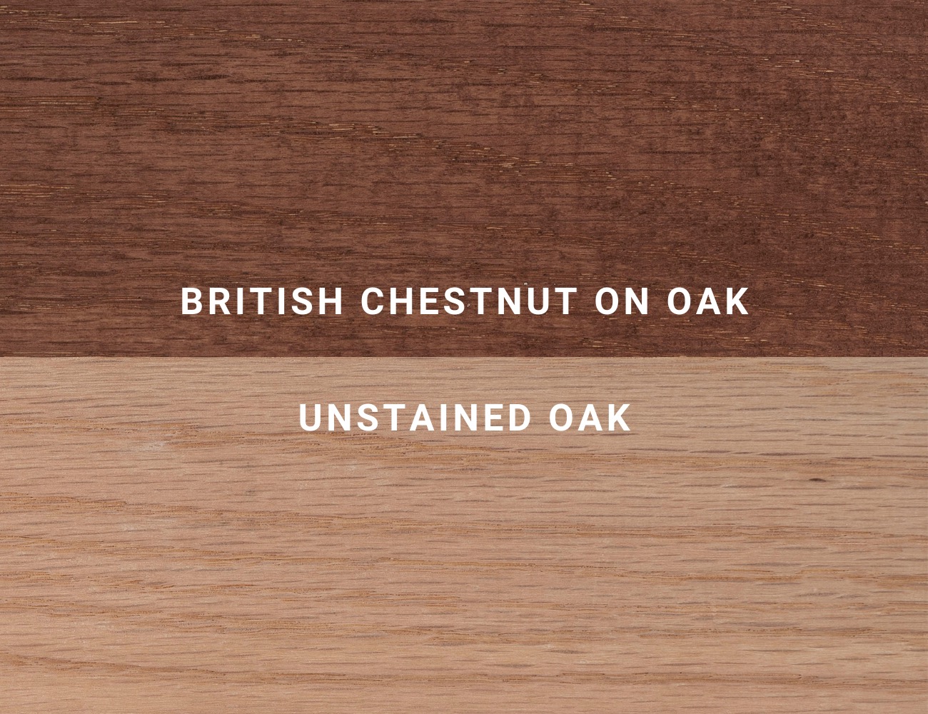 British Chestnut