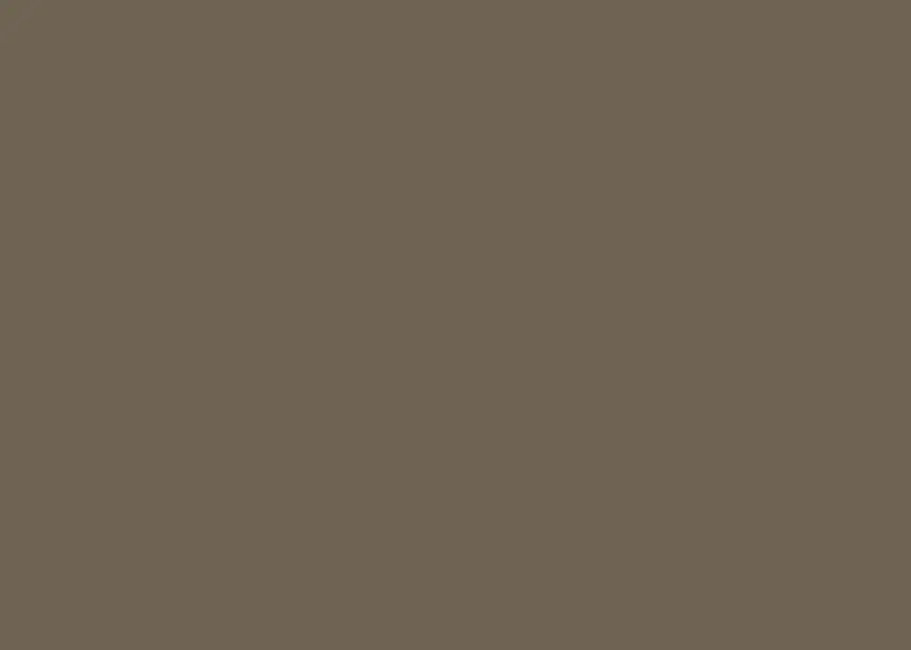 Hannover Hills is a warm, earthy brown with olive undertones. This rich and cozy color brings to mind a rustic cabin in the woods. Pair it with complementary greens and oranges for a natural, inviting atmosphere.