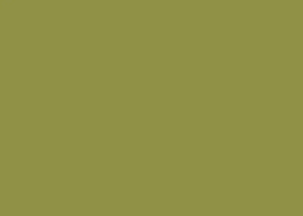 Martina Olive is a versatile earthy green that feels fresh and grounded. With yellow undertones, this warm hue evokes the essence of the outdoors, making it perfect for natural or urban settings. Pair with complementary tones of beige or taupe for a serene look, or use with bold pops of orange or rusty red for a striking effect.