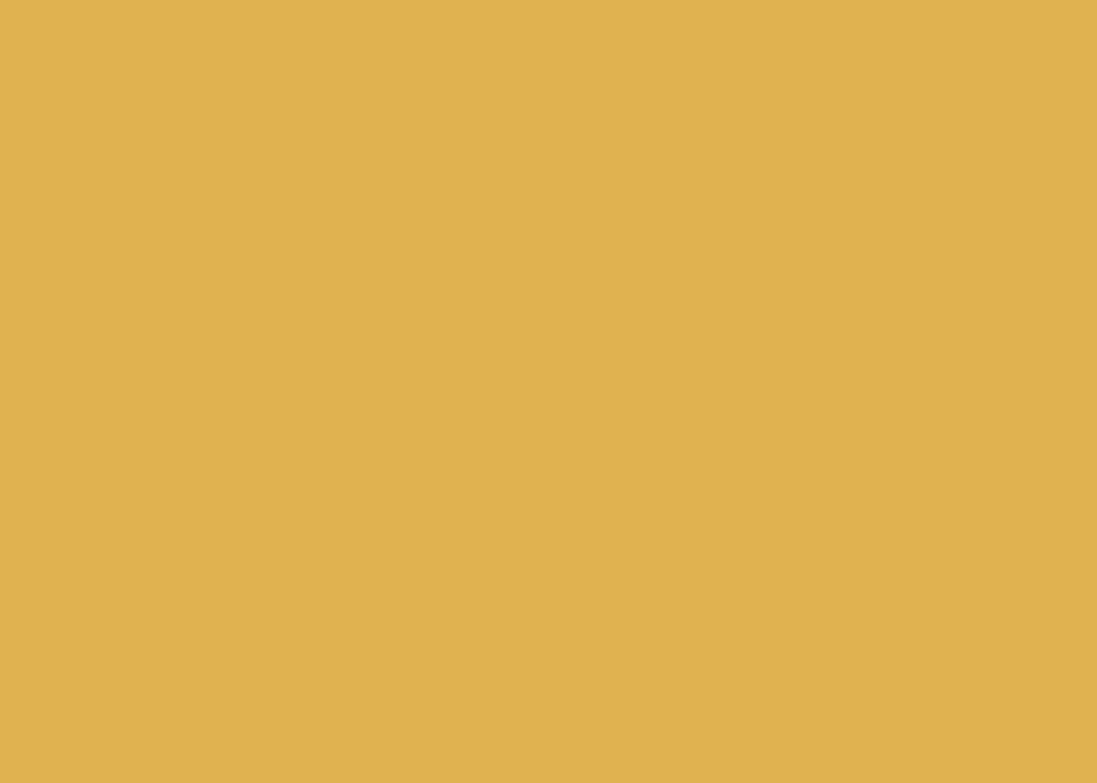 Available from ECOS Paints, this dark mustard yellow wall paint is sure to bring a bold warmth to your home. 