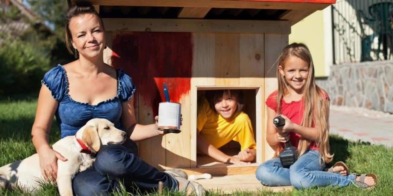 4 Tips To Restore Your Pup’s Old Doghouse